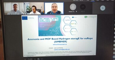 Ambher Project present at Webinar HySTrAm and MOST-H2
